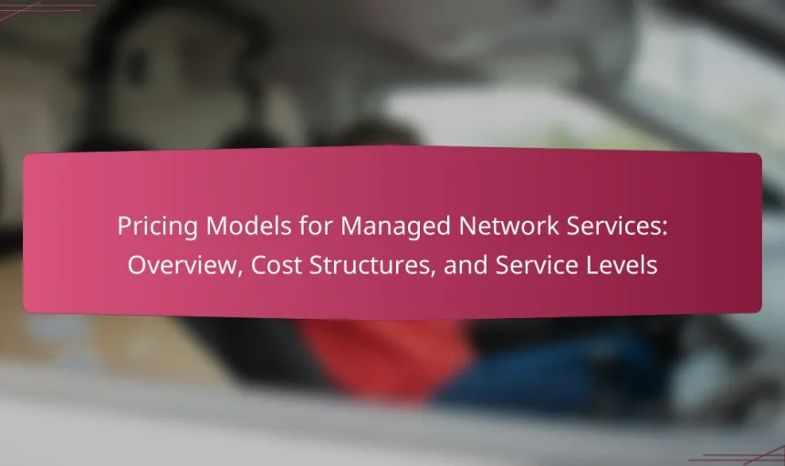 Pricing Models for Managed Network Services: Overview, Cost Structures, and Service Levels