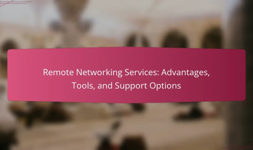 Remote Networking Services: Advantages, Tools, and Support Options