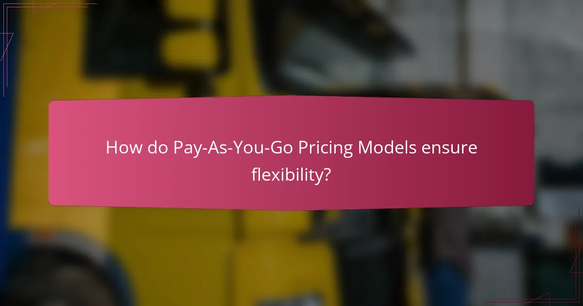 How do Pay-As-You-Go Pricing Models ensure flexibility?