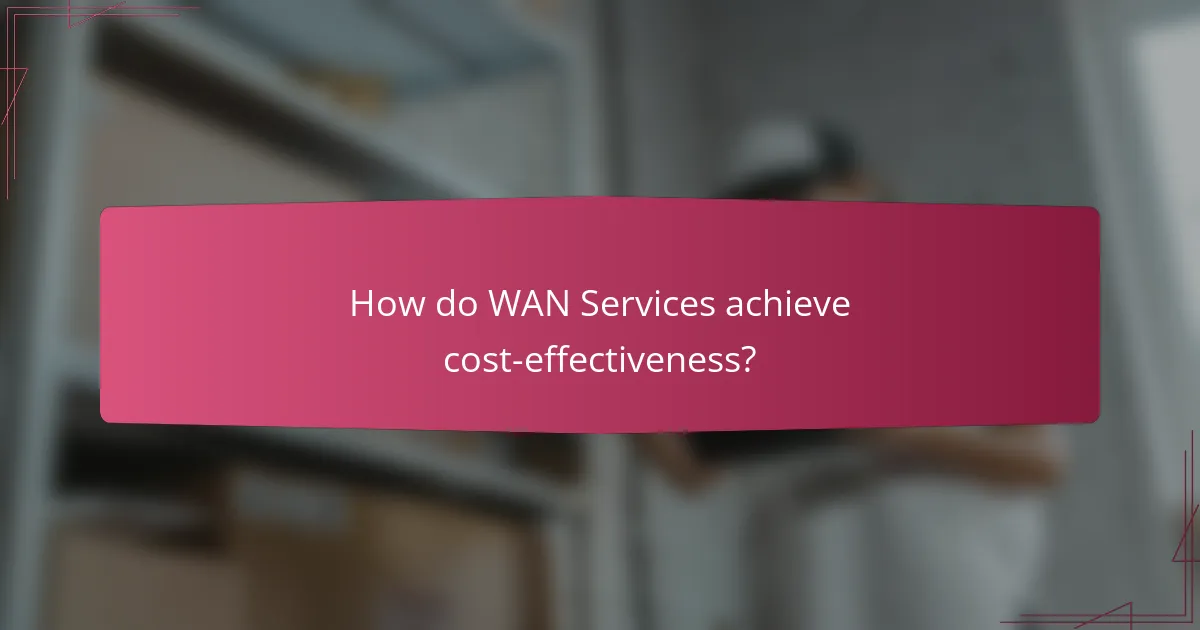 How do WAN Services achieve cost-effectiveness?