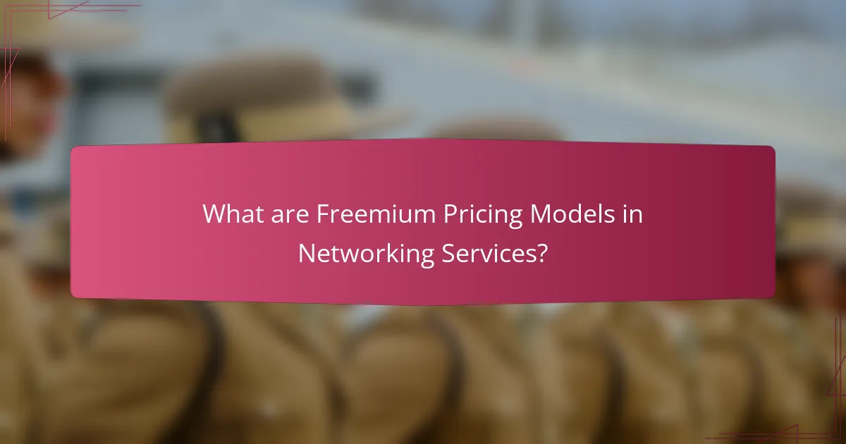 What are Freemium Pricing Models in Networking Services?