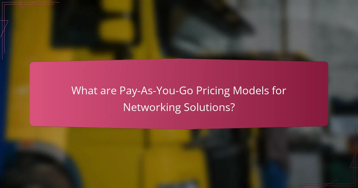 What are Pay-As-You-Go Pricing Models for Networking Solutions?