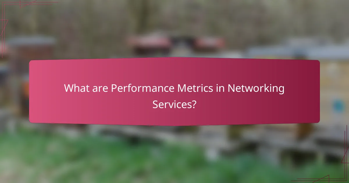 What are Performance Metrics in Networking Services?