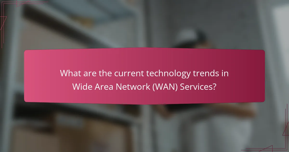 What are the current technology trends in Wide Area Network (WAN) Services?