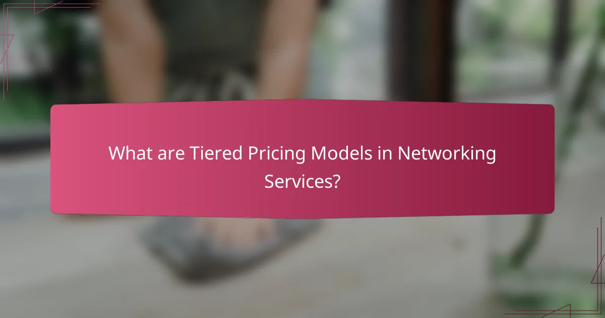 What are Tiered Pricing Models in Networking Services?