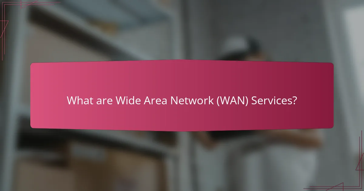What are Wide Area Network (WAN) Services?