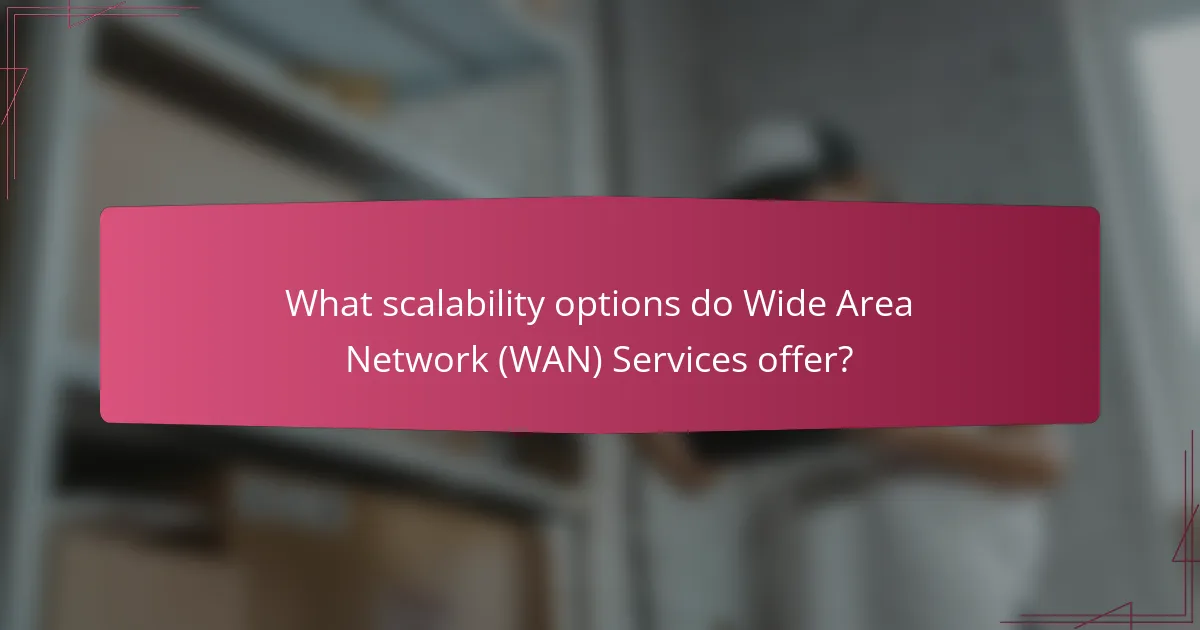 What scalability options do Wide Area Network (WAN) Services offer?