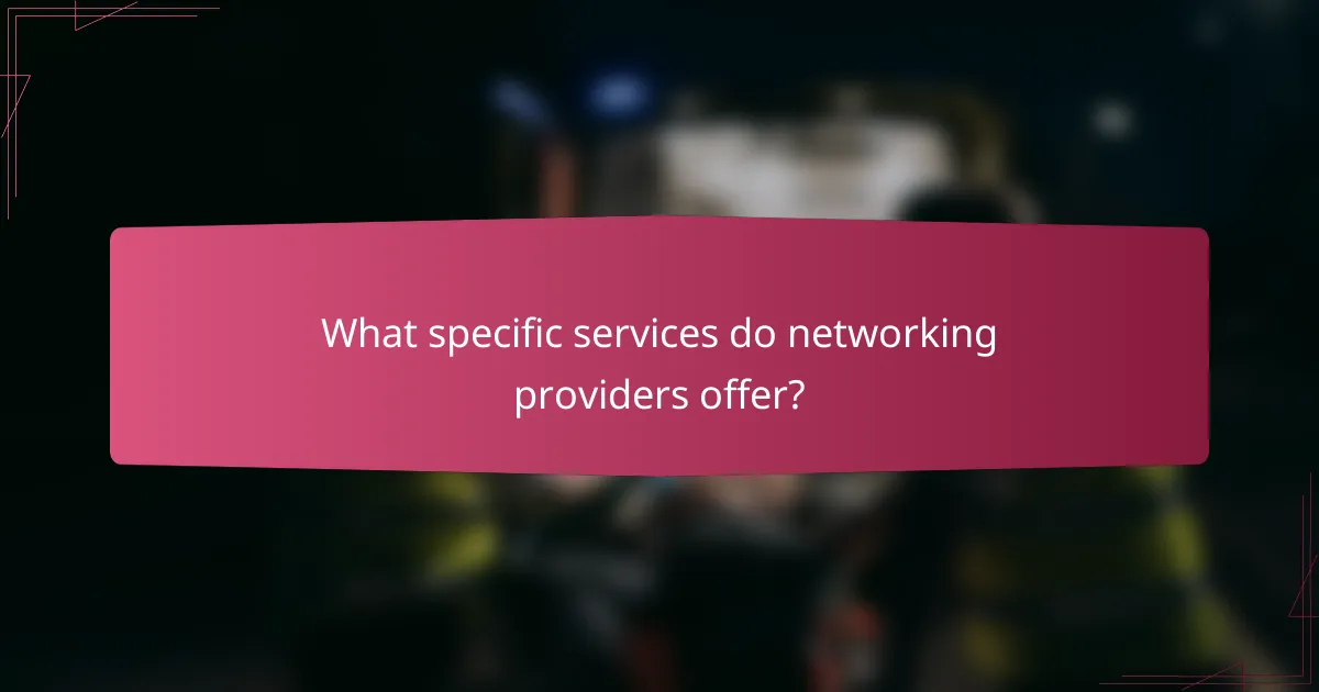 What specific services do networking providers offer?